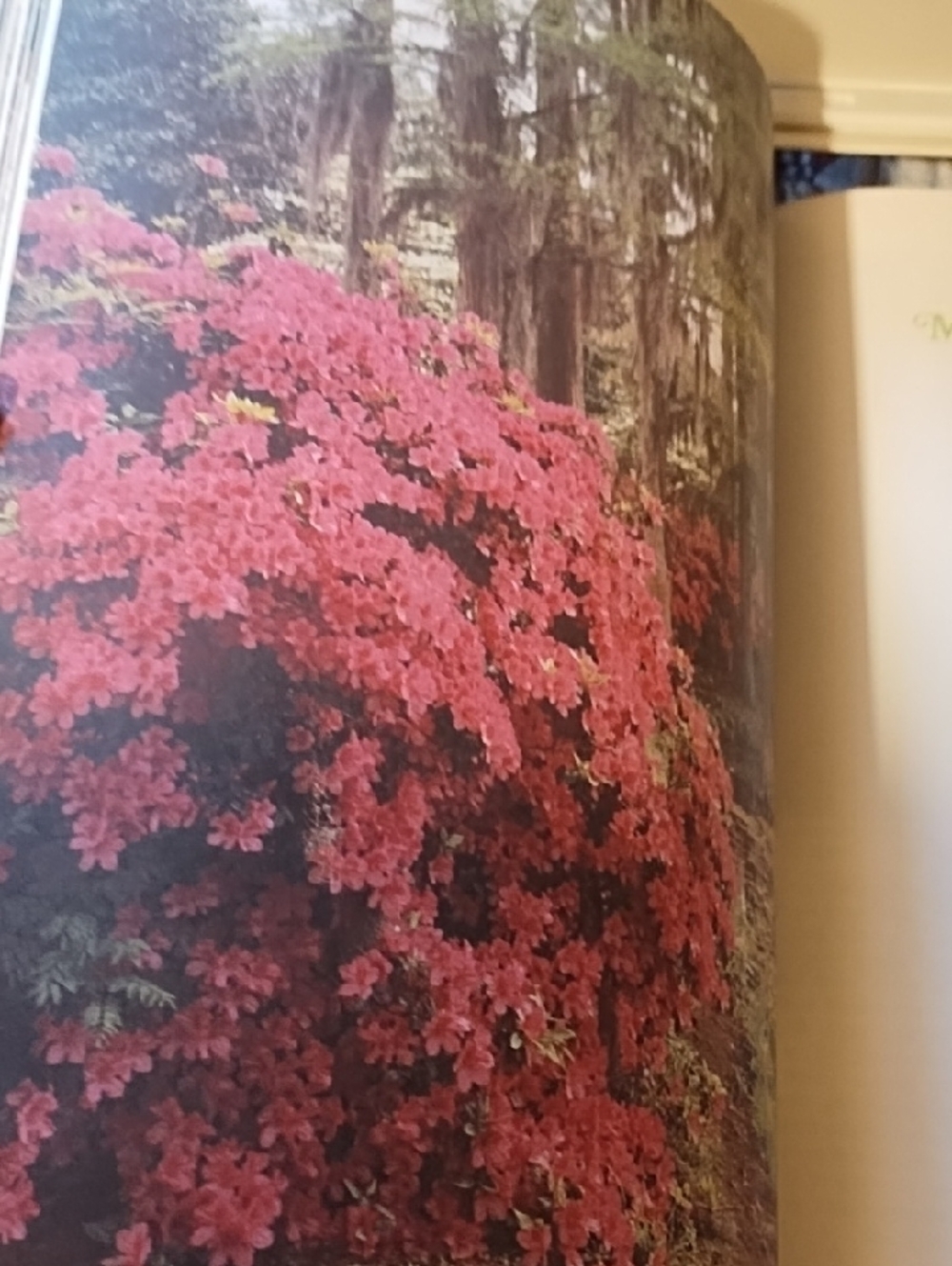 Mother's Day Coffee Table Book - Red Floral Cover - Picture 13 of 13